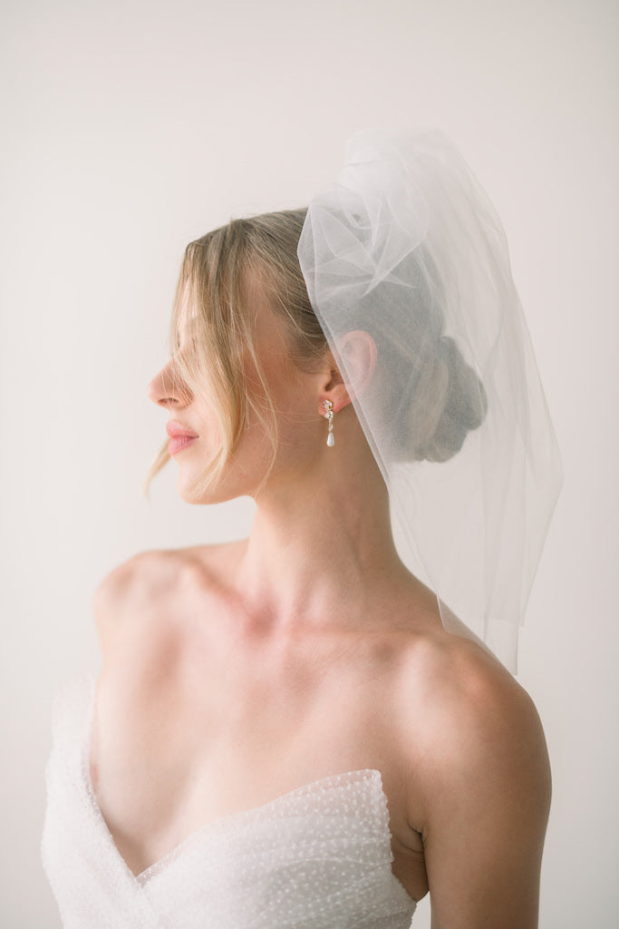 blusher tulle birdcage veil