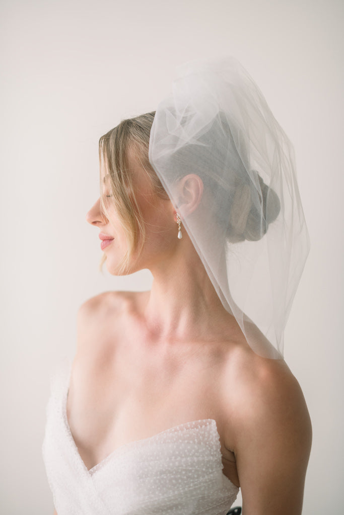 birdcage veil