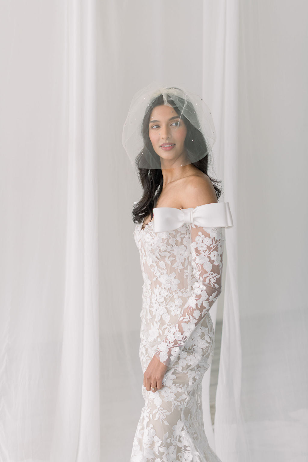 wedding Birdcage veil