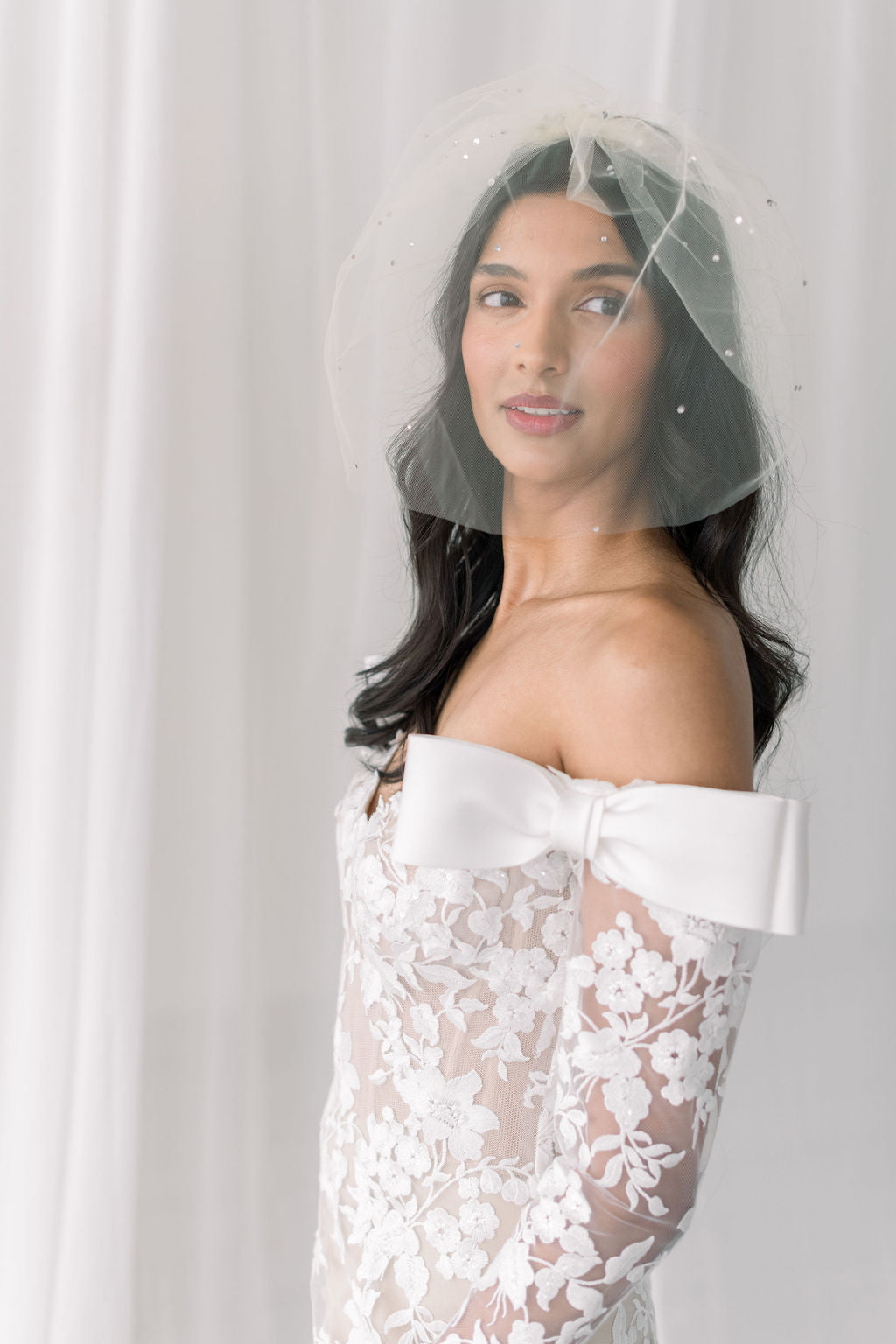 crystal Birdcage veil