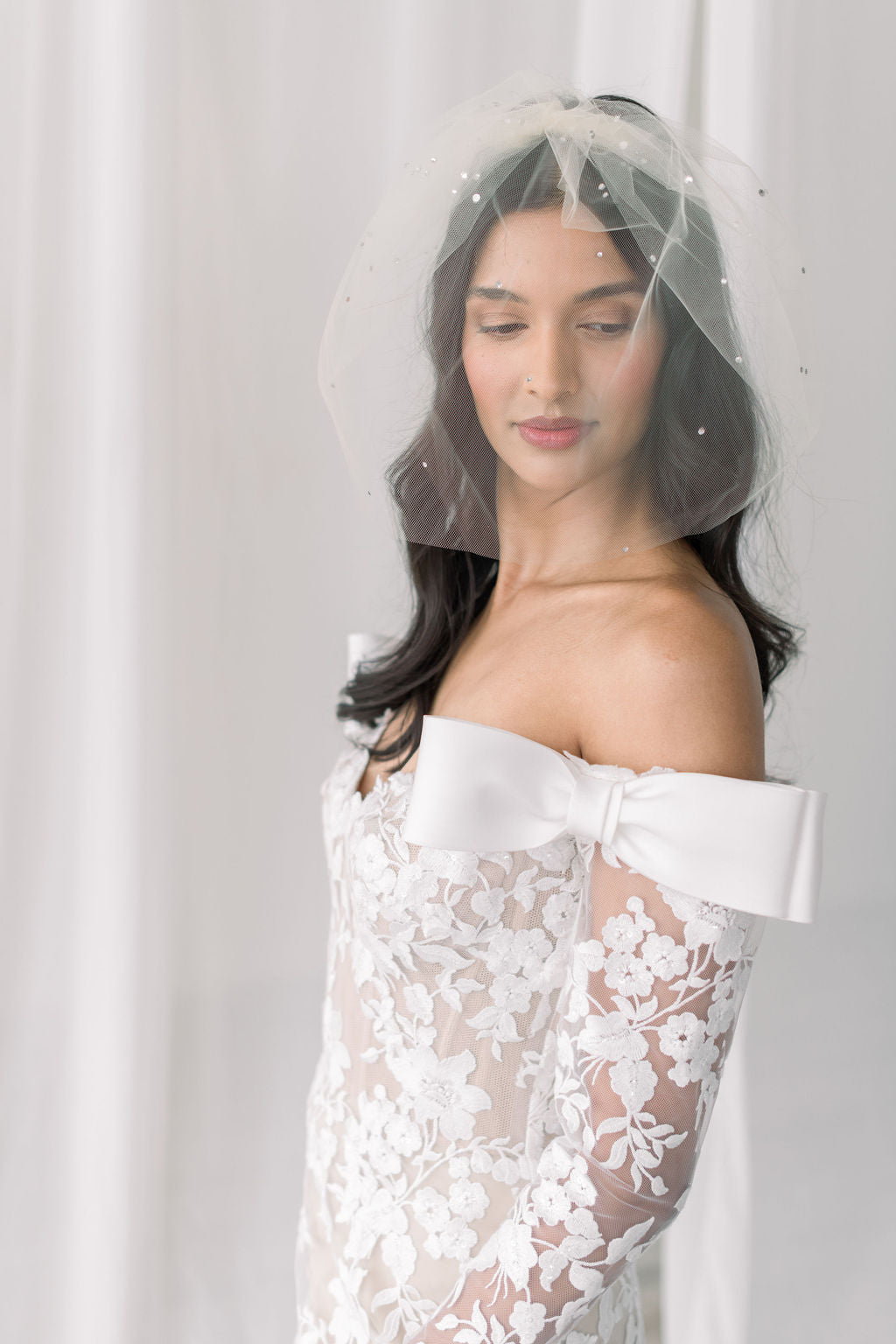 mini Birdcage veil