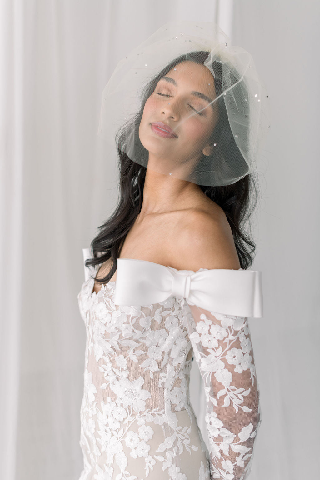 Birdcage veil