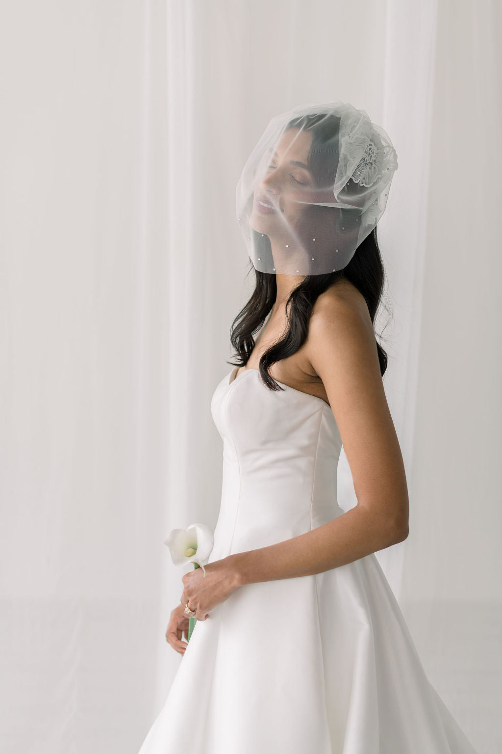lace birdcage veil