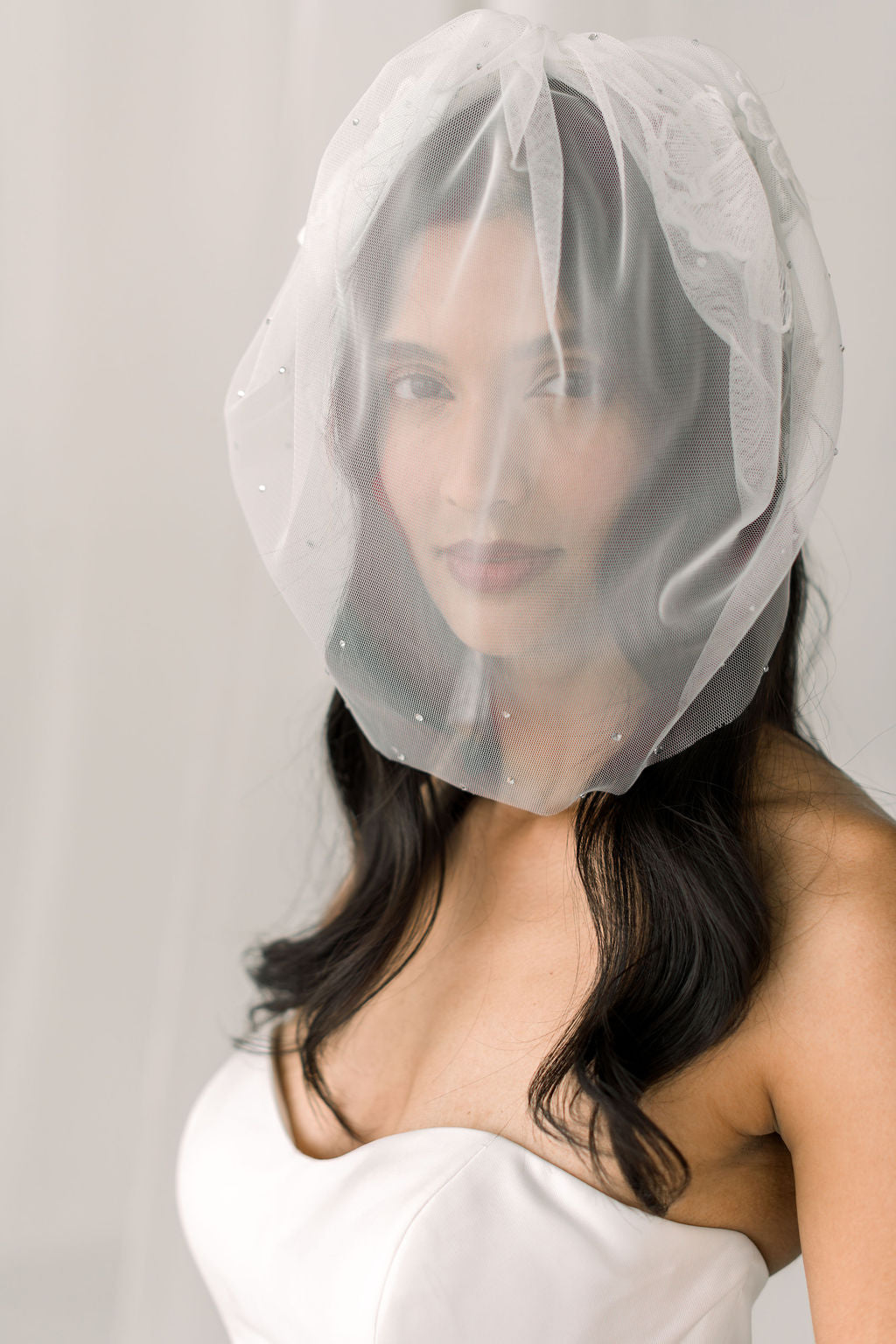birdcage veil