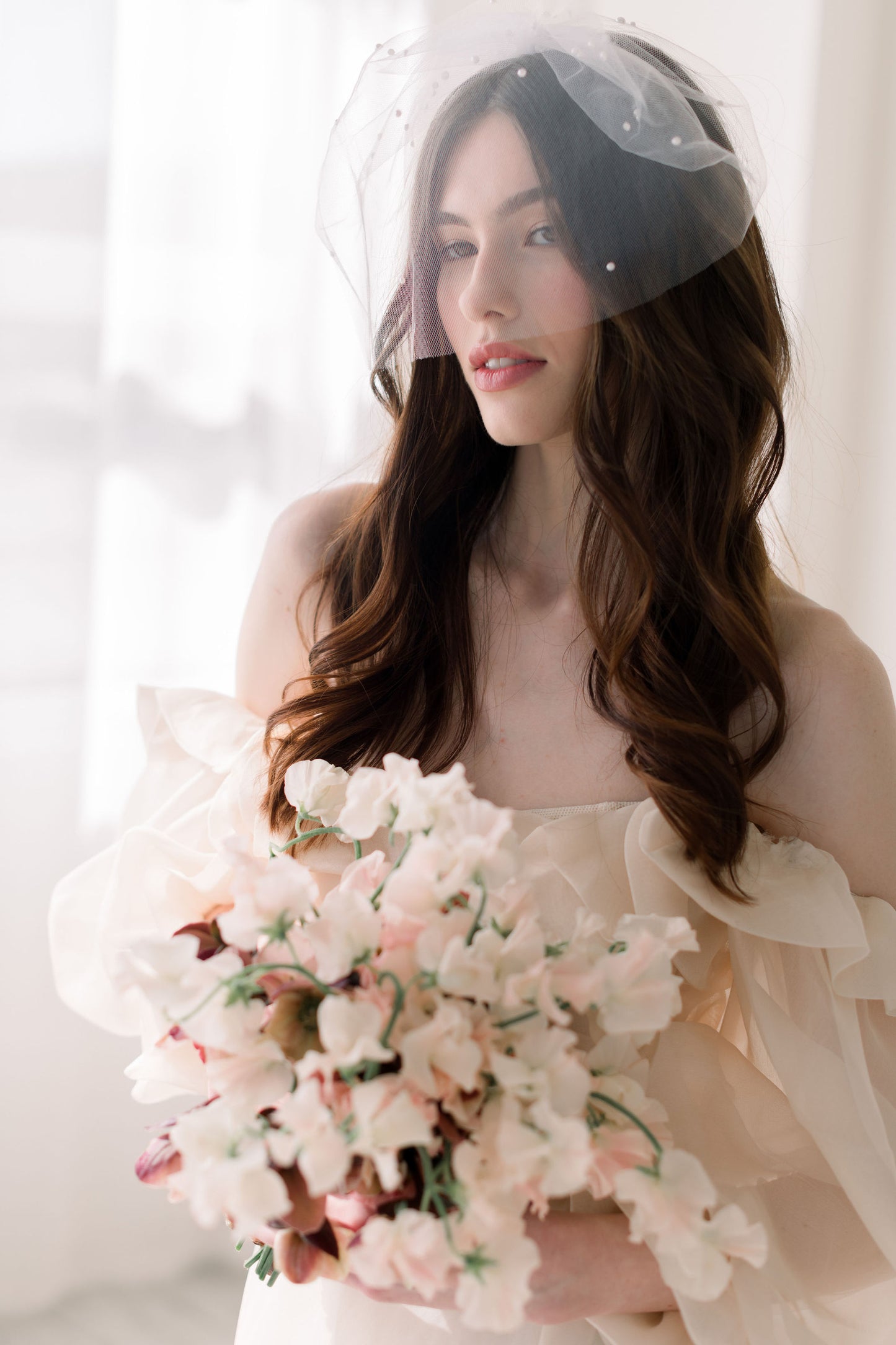 birdcage veil