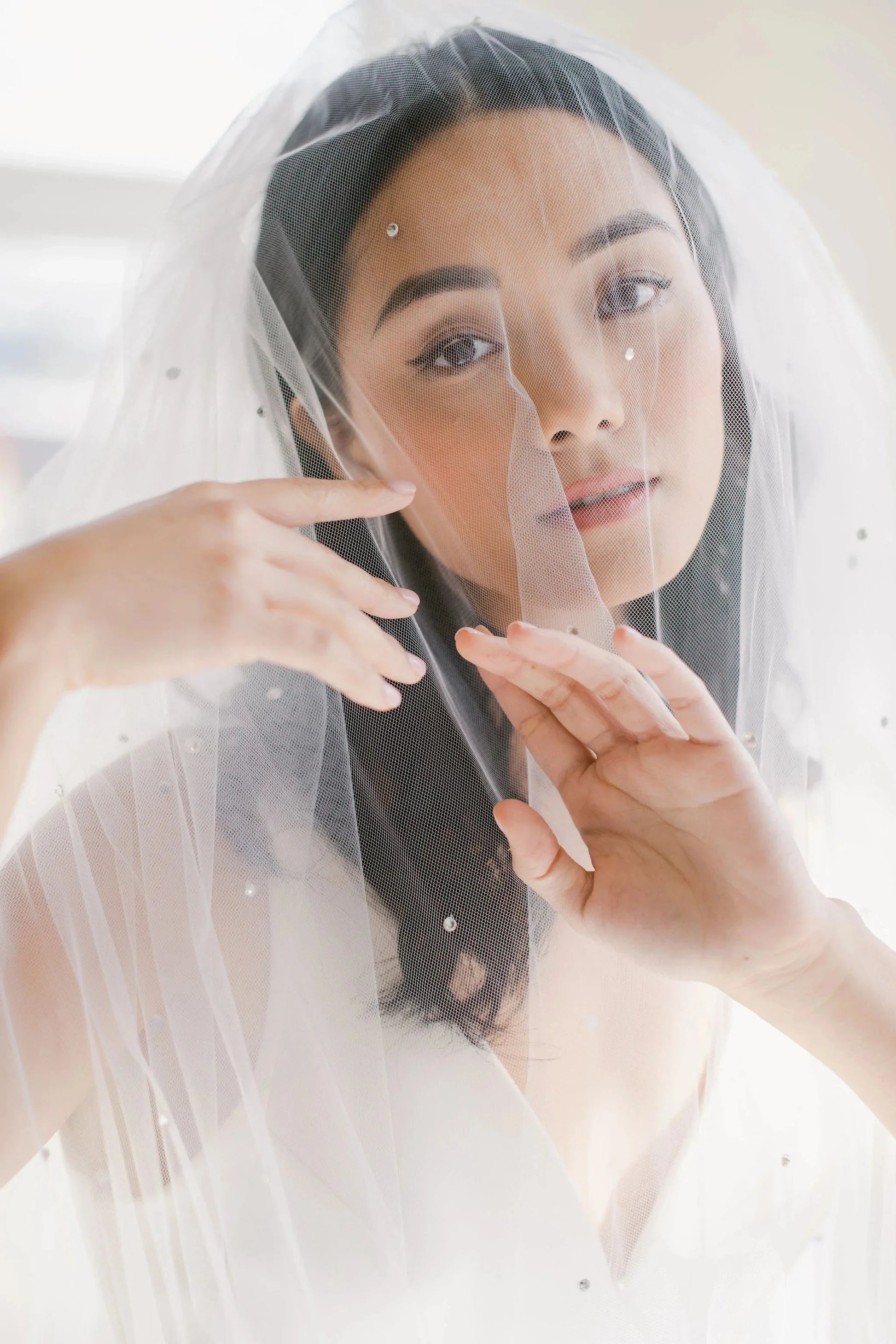Crystal adorned illusion tulle veil with blusher - ready to ship Tessa Kim