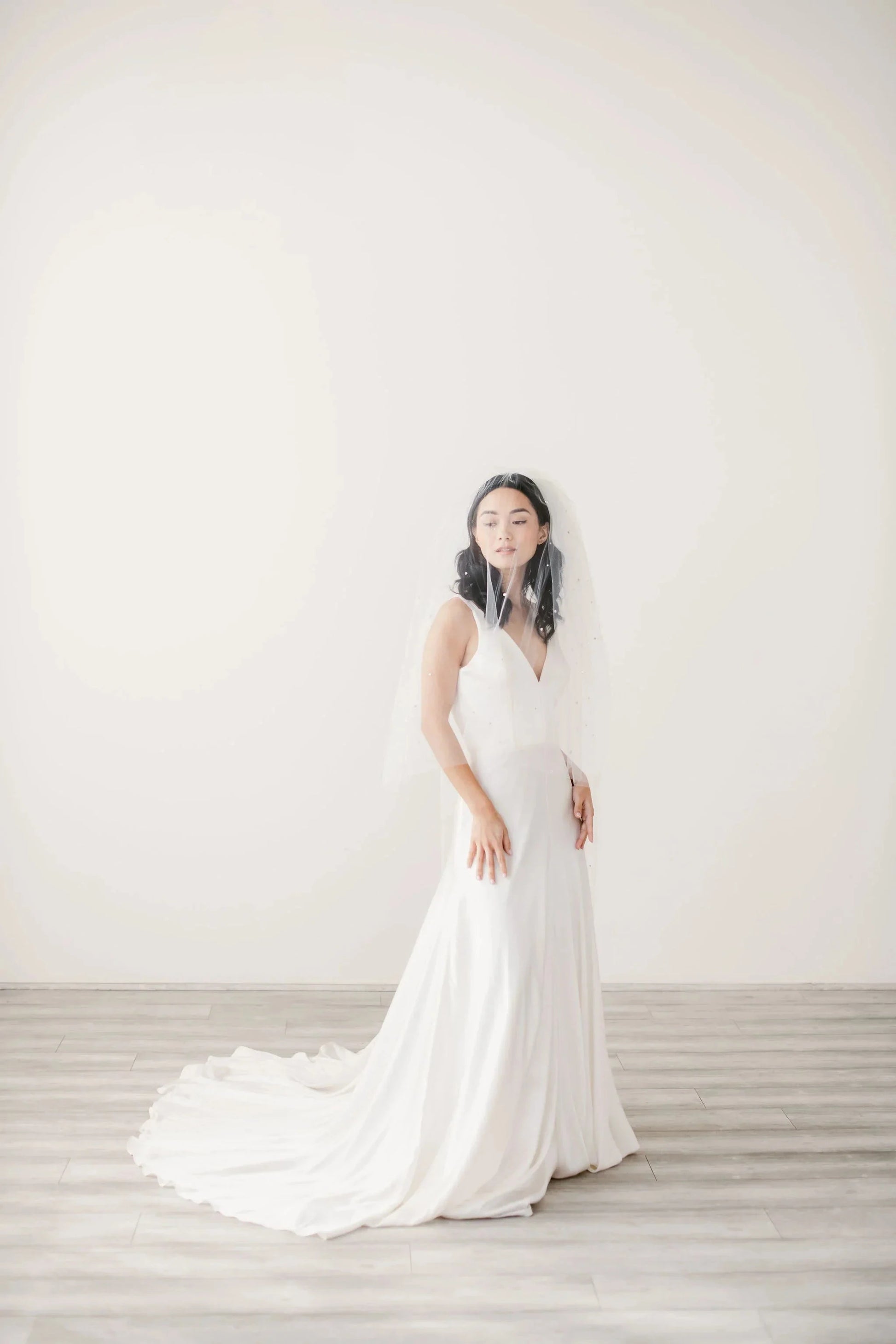 Crystal adorned illusion tulle veil with blusher - ready to ship Tessa Kim