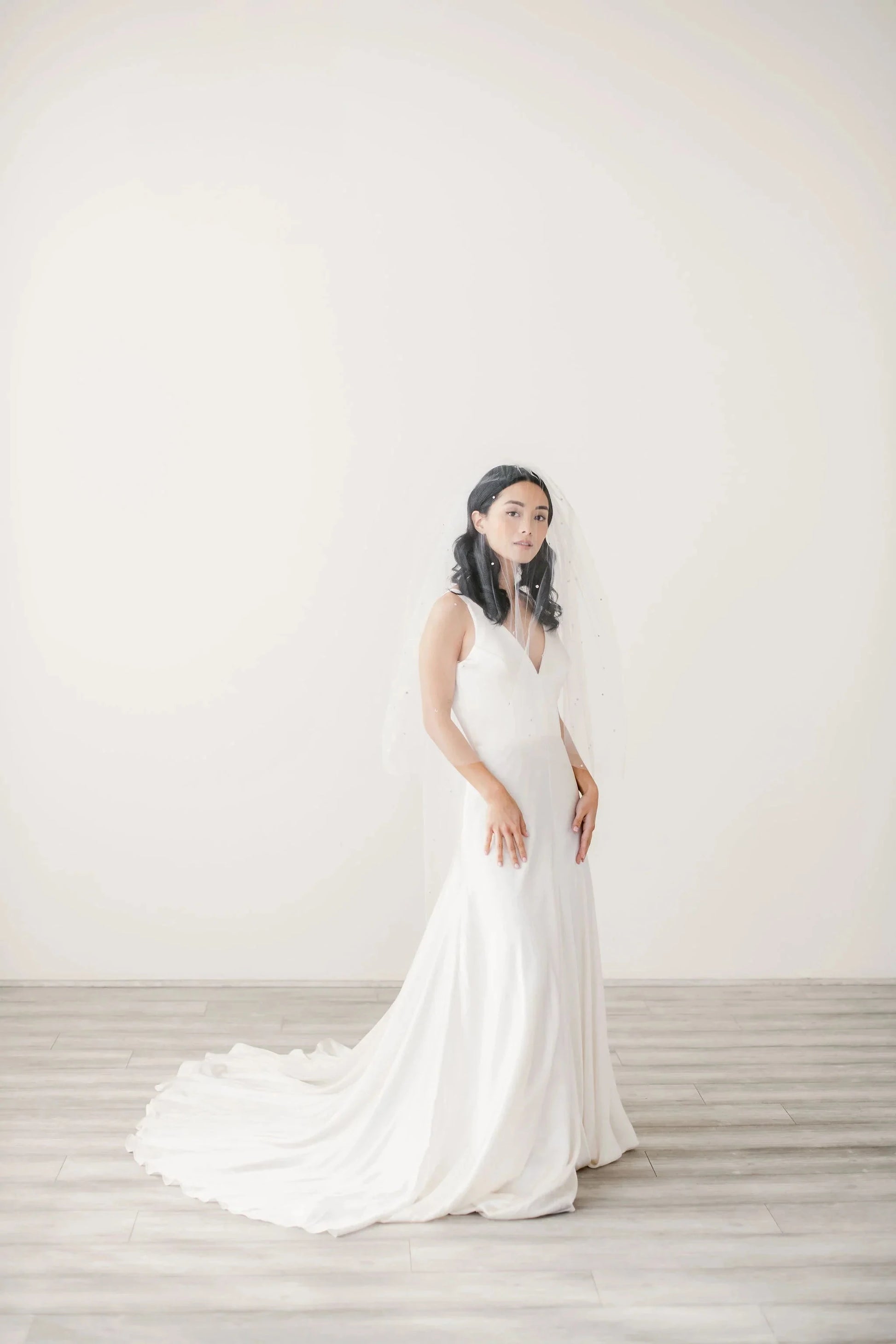 Crystal adorned illusion tulle veil with blusher - ready to ship Tessa Kim