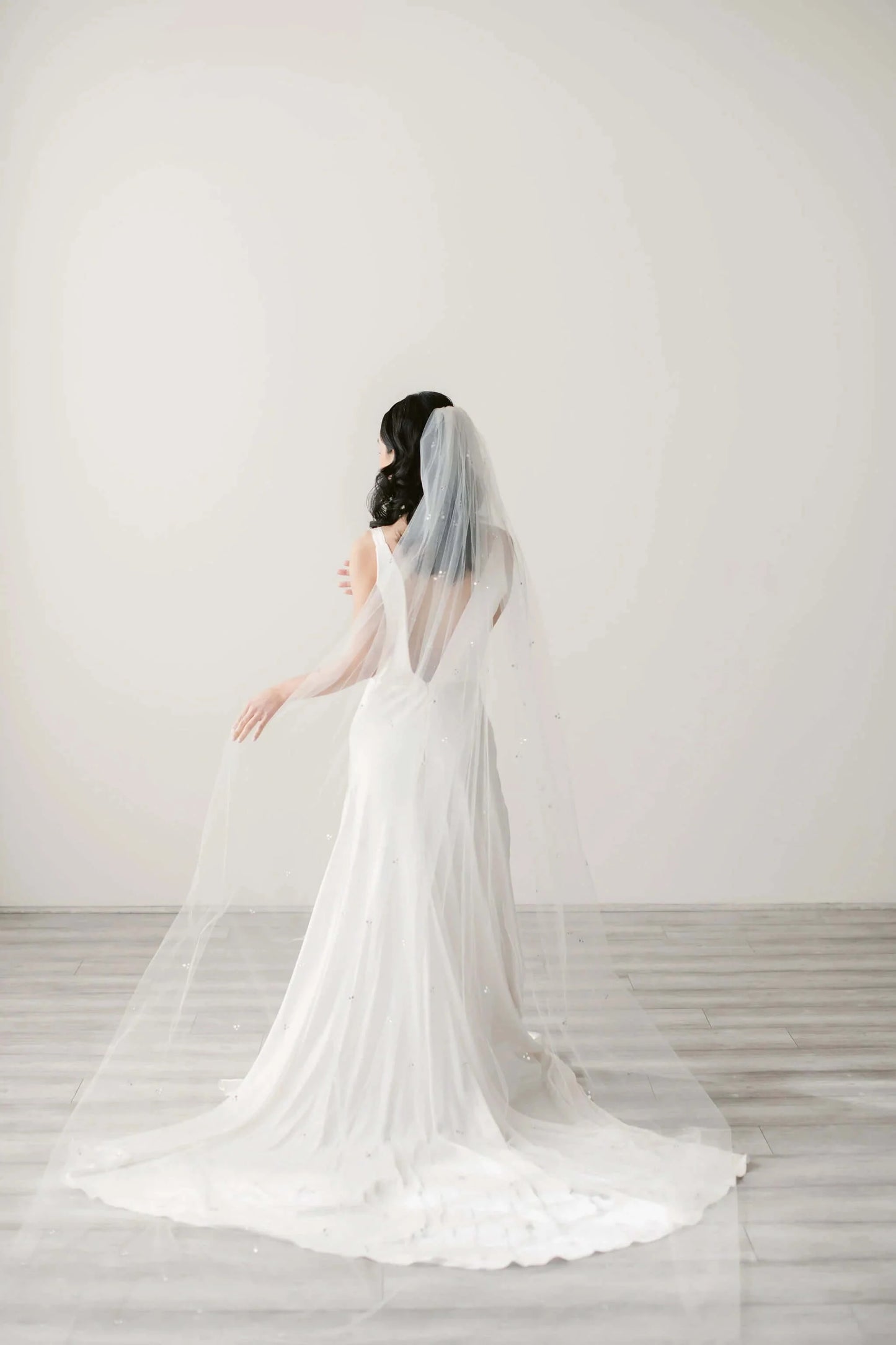 Illusion tulle veil with trio crystal accents - ready to ship Tessa Kim