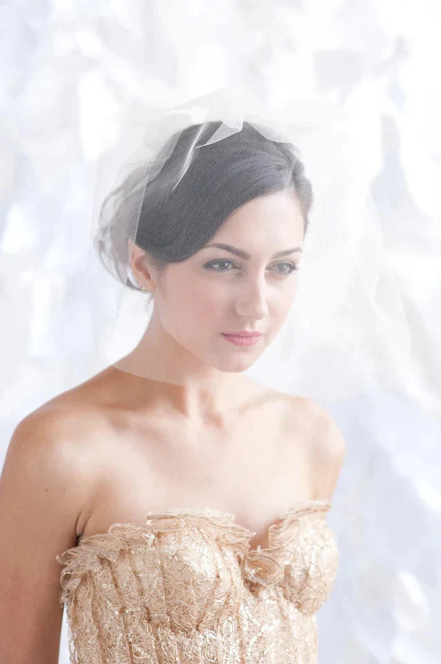 Tulle birdcage veil - ready to ship Tessa Kim