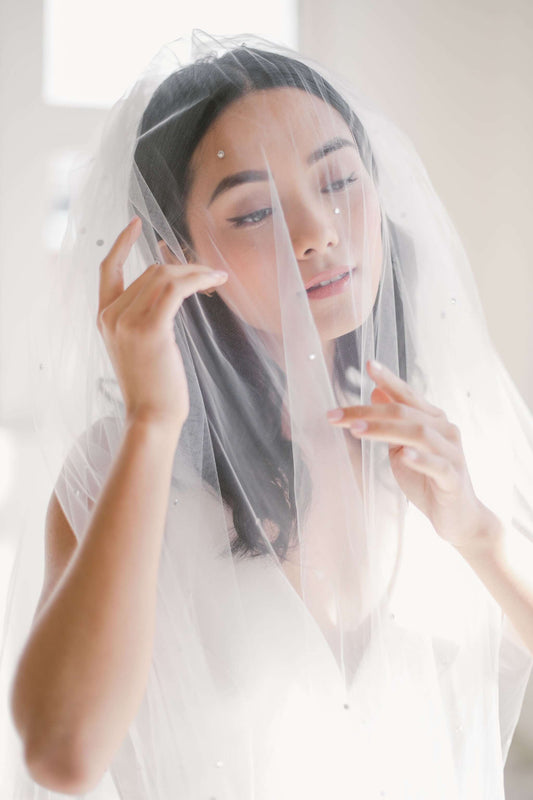 hairstyles and wedding veils