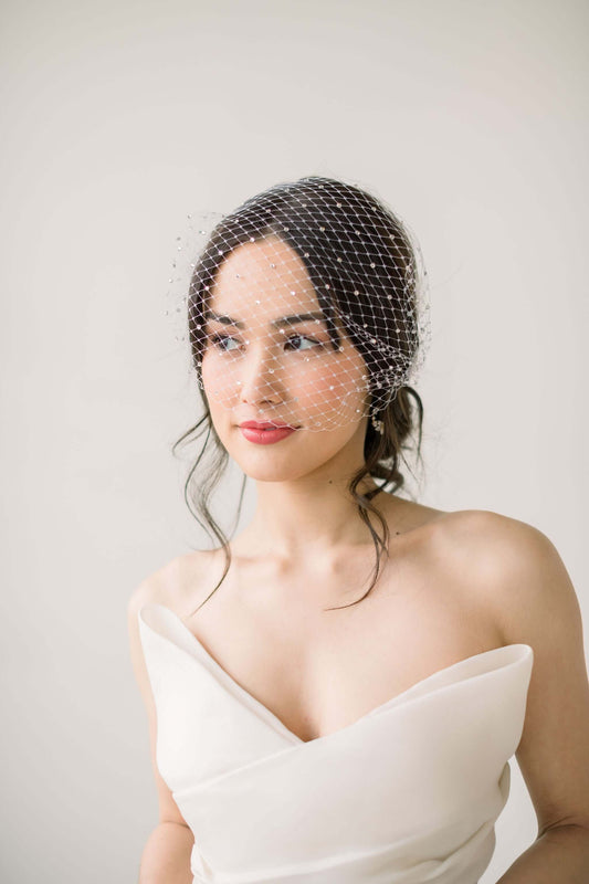 crystal birdcage veil