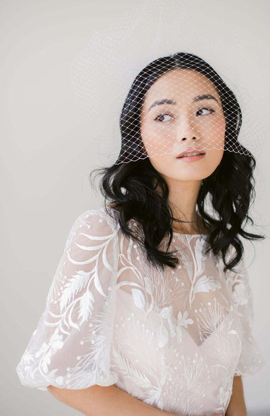 birdcage veil