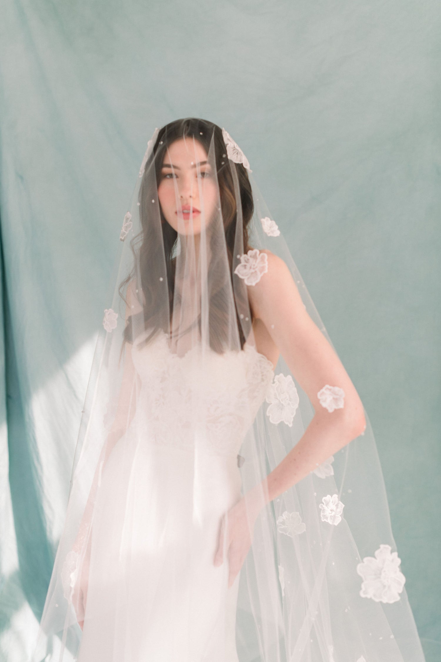 Lace cathedral veil 