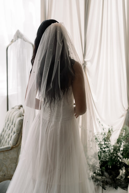Person wearing a white wedding dress with a long veil in a softly lit room.
