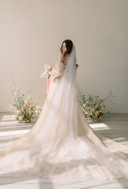 cathedral French tulle wedding veil