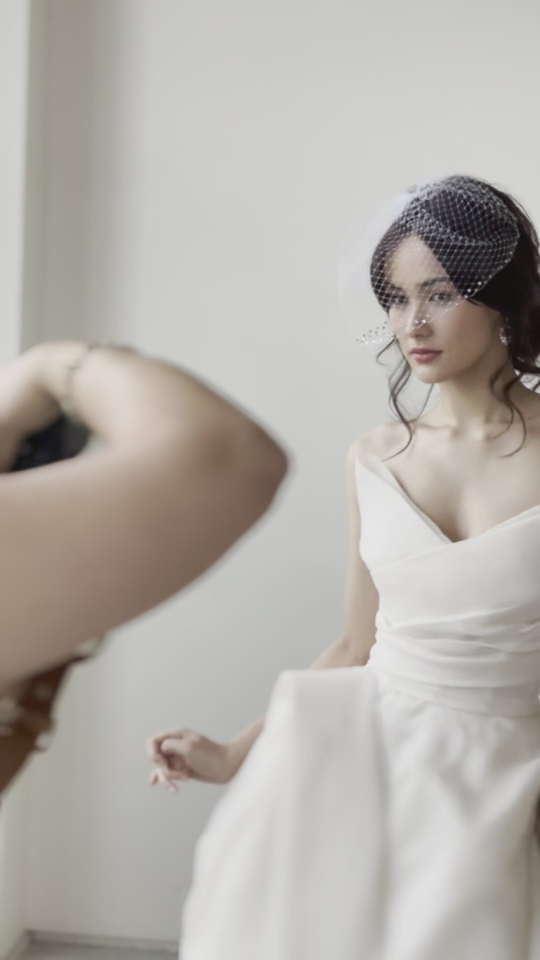 Birdcage veil - Luxe bridal birdcage veil with crystal edge