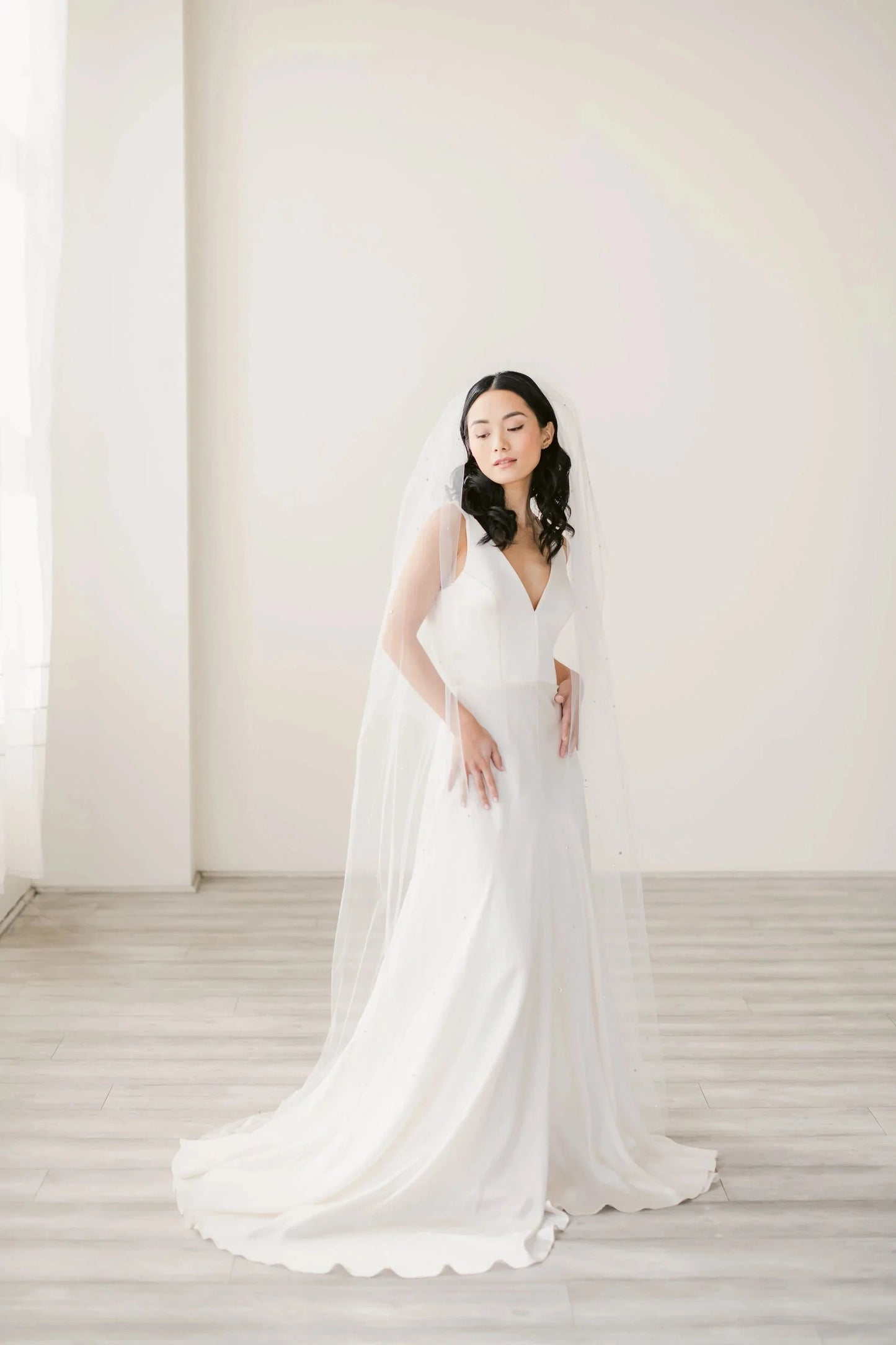 Crystal adorned illusion tulle veil with blusher - ready to ship Tessa Kim